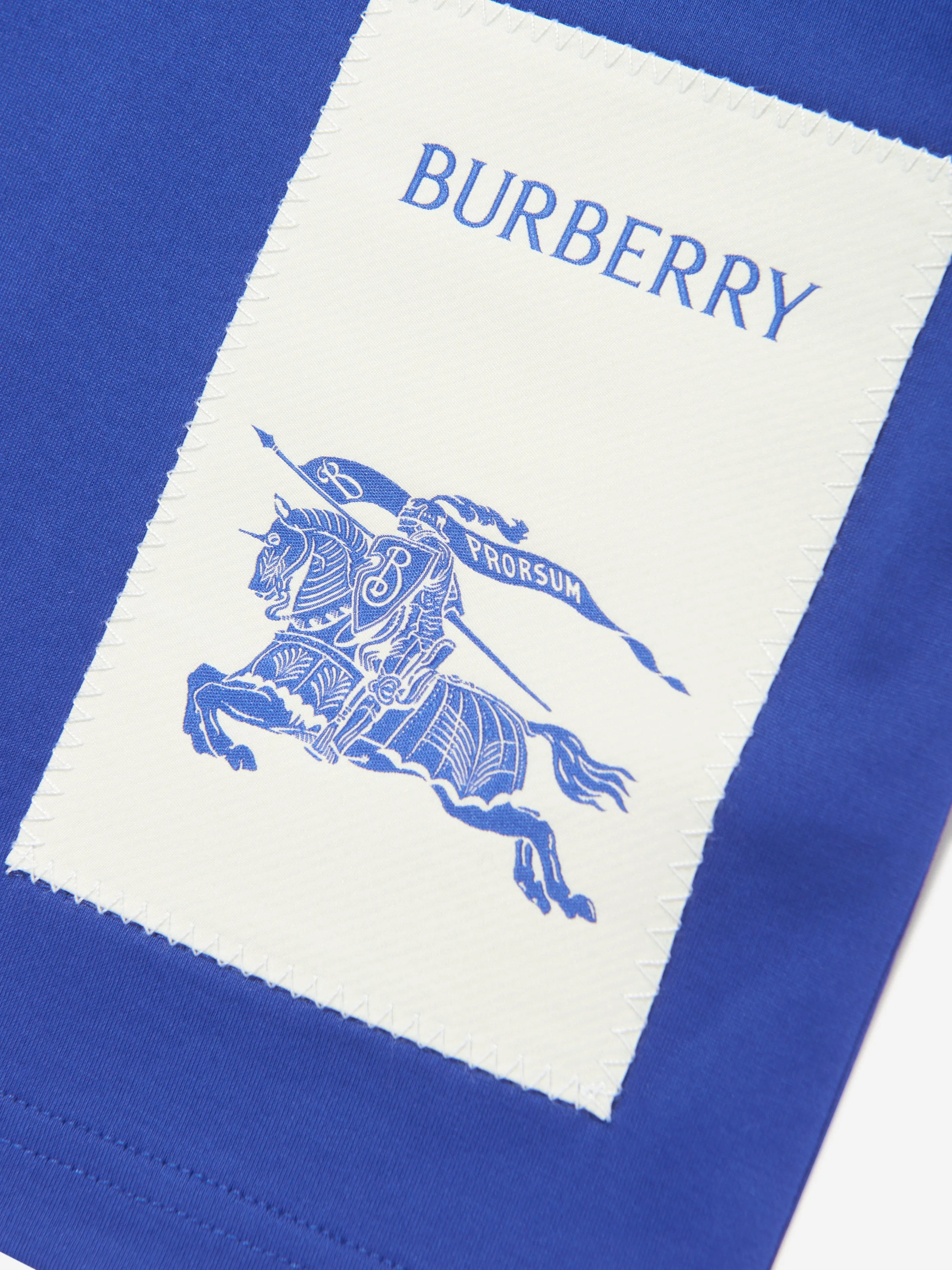 Burberry Boys EKD Label Cedar T-Shirt in Blue