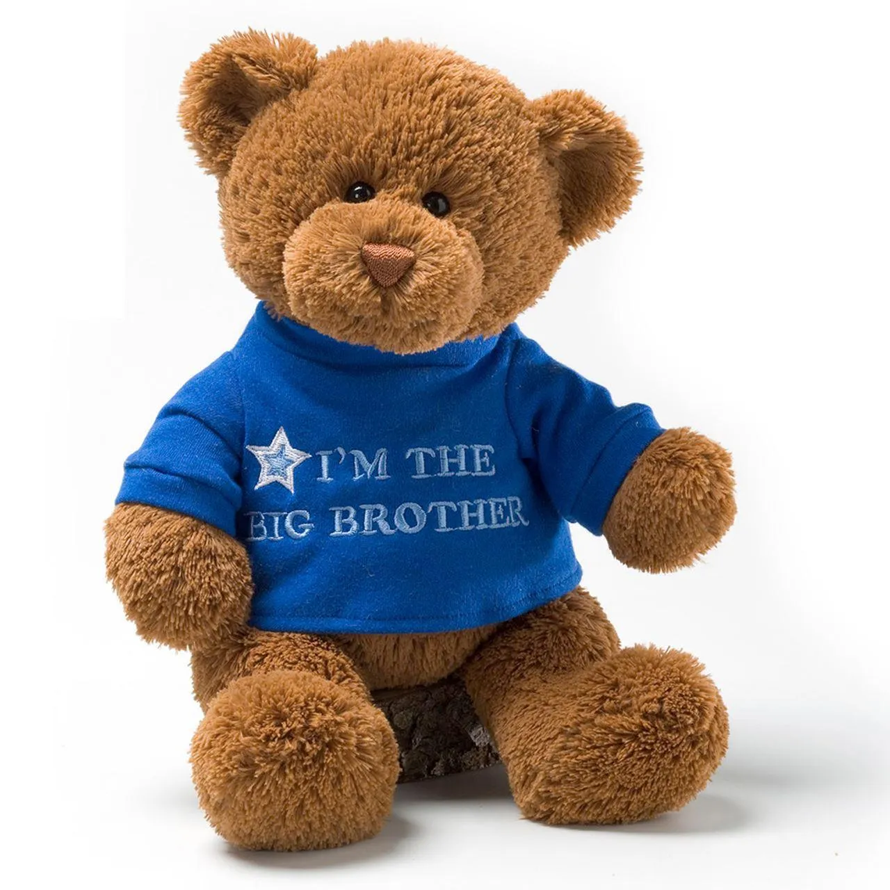 Personalized GUND I'm the Big Brother Bear